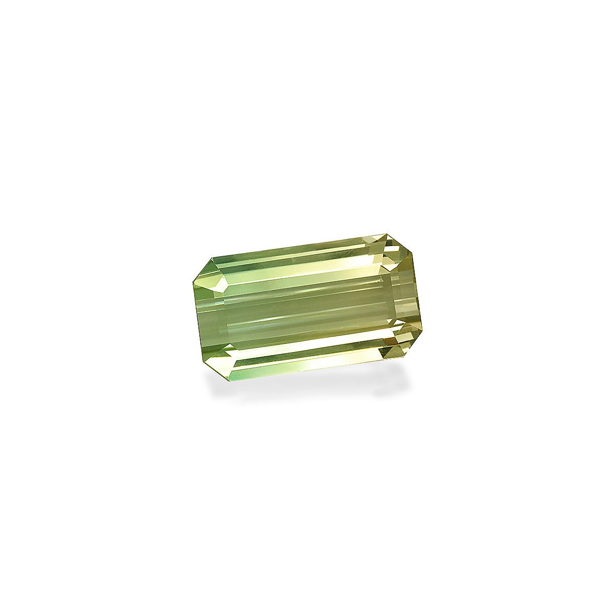 Bi Colour Tourmaline 44.29 ct